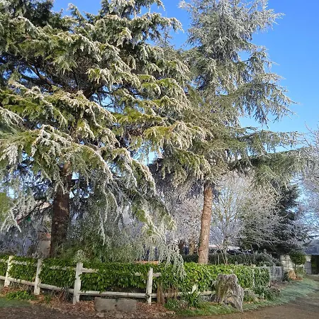 Les Cles Du Parc 3* Combrand