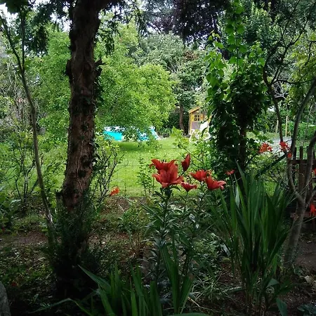 Les Cles Du Parc 3* Combrand