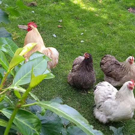 Les Cles Du Parc לינה וארוחת בוקר