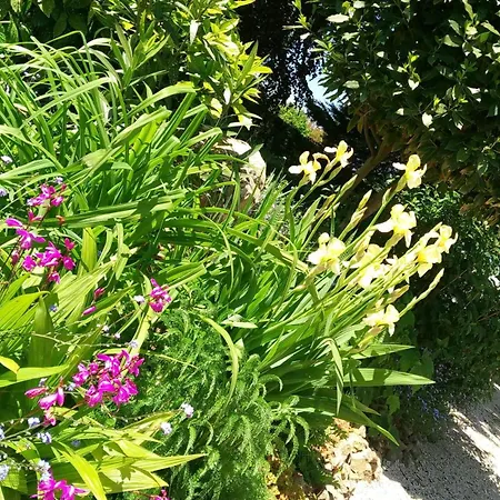 Les Cles Du Parc Bed & Breakfast *