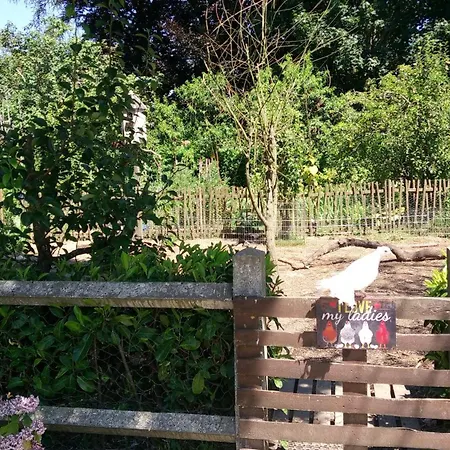 Les Clés Du Parc Couette-café Combrand