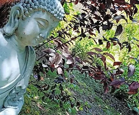 Alojamento de Acomodação e Pequeno-almoço Les Cles Du Parc 3*