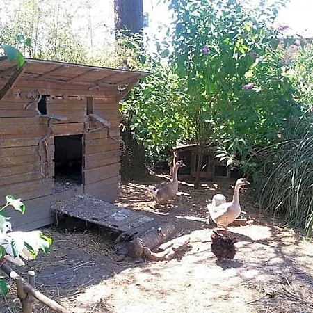 Alojamento de Acomodação e Pequeno-almoço Les Cles Du Parc