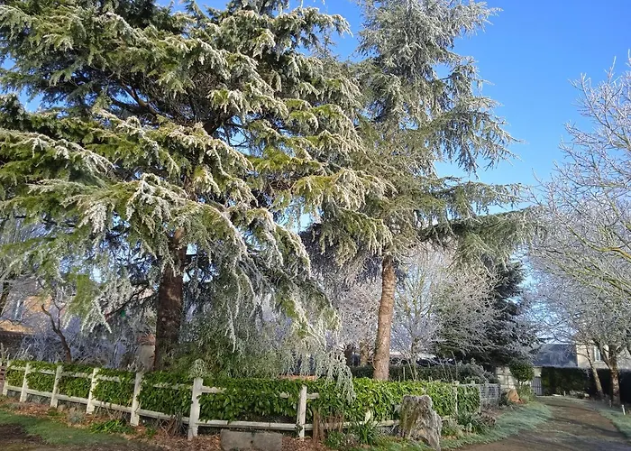 Les Clés Du Parc 3* Combrand