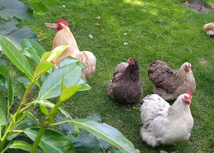 Les Clés Du Parc Couette-café