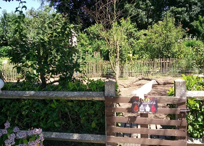 Les Clés Du Parc Couette-café Combrand